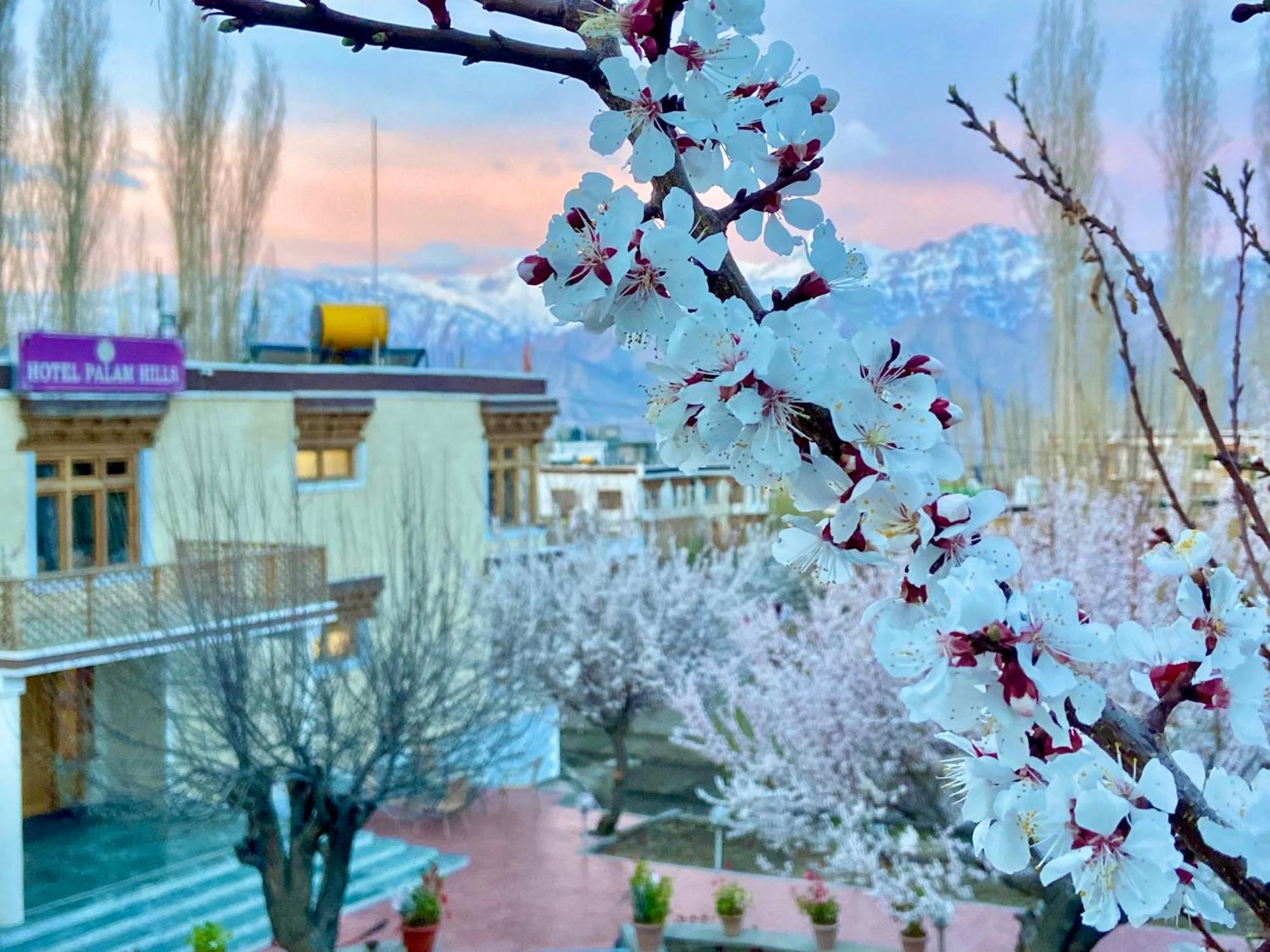 Hotel Palam Hills Лех Екстер'єр фото
