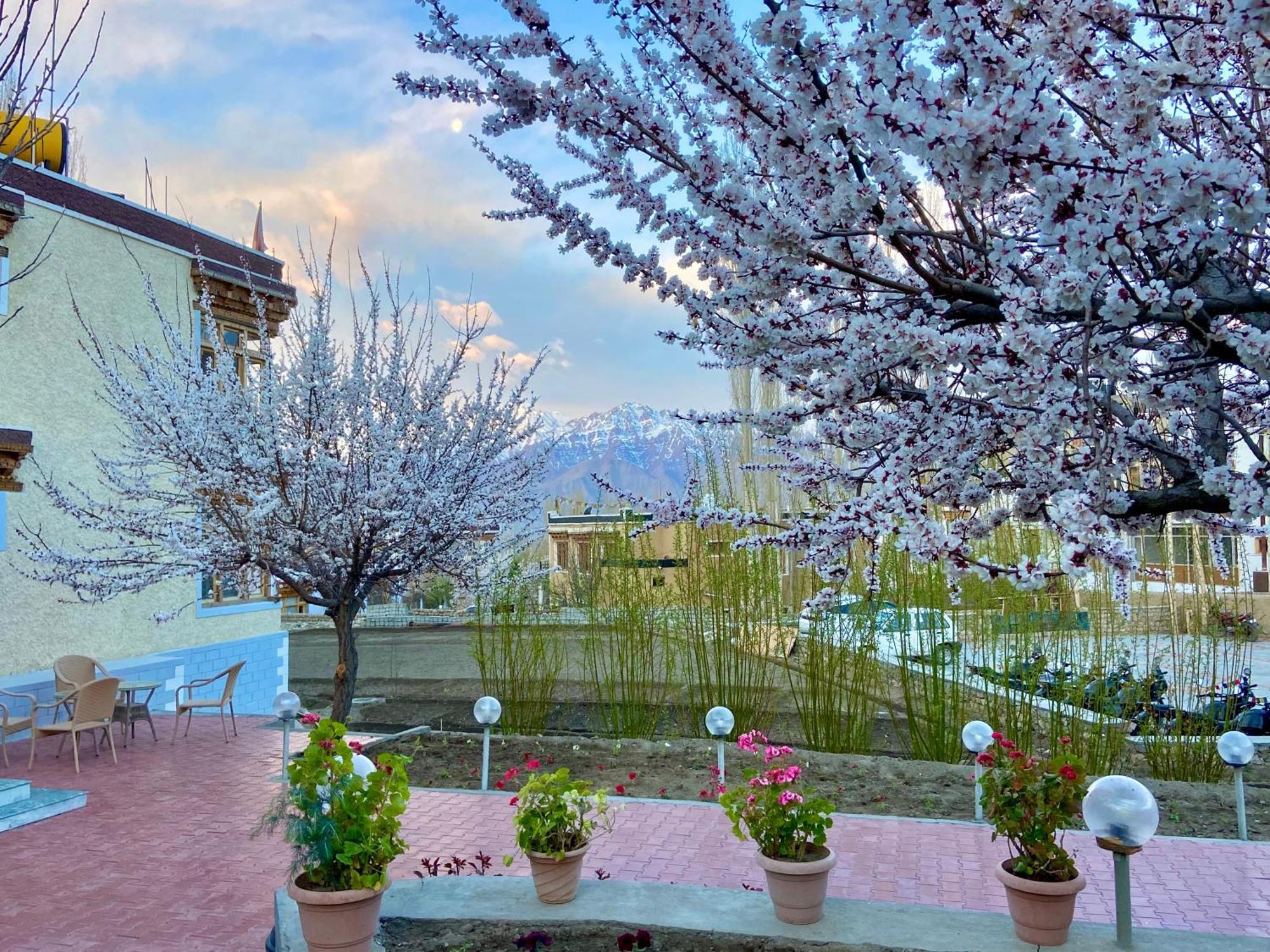 Hotel Palam Hills Лех Екстер'єр фото