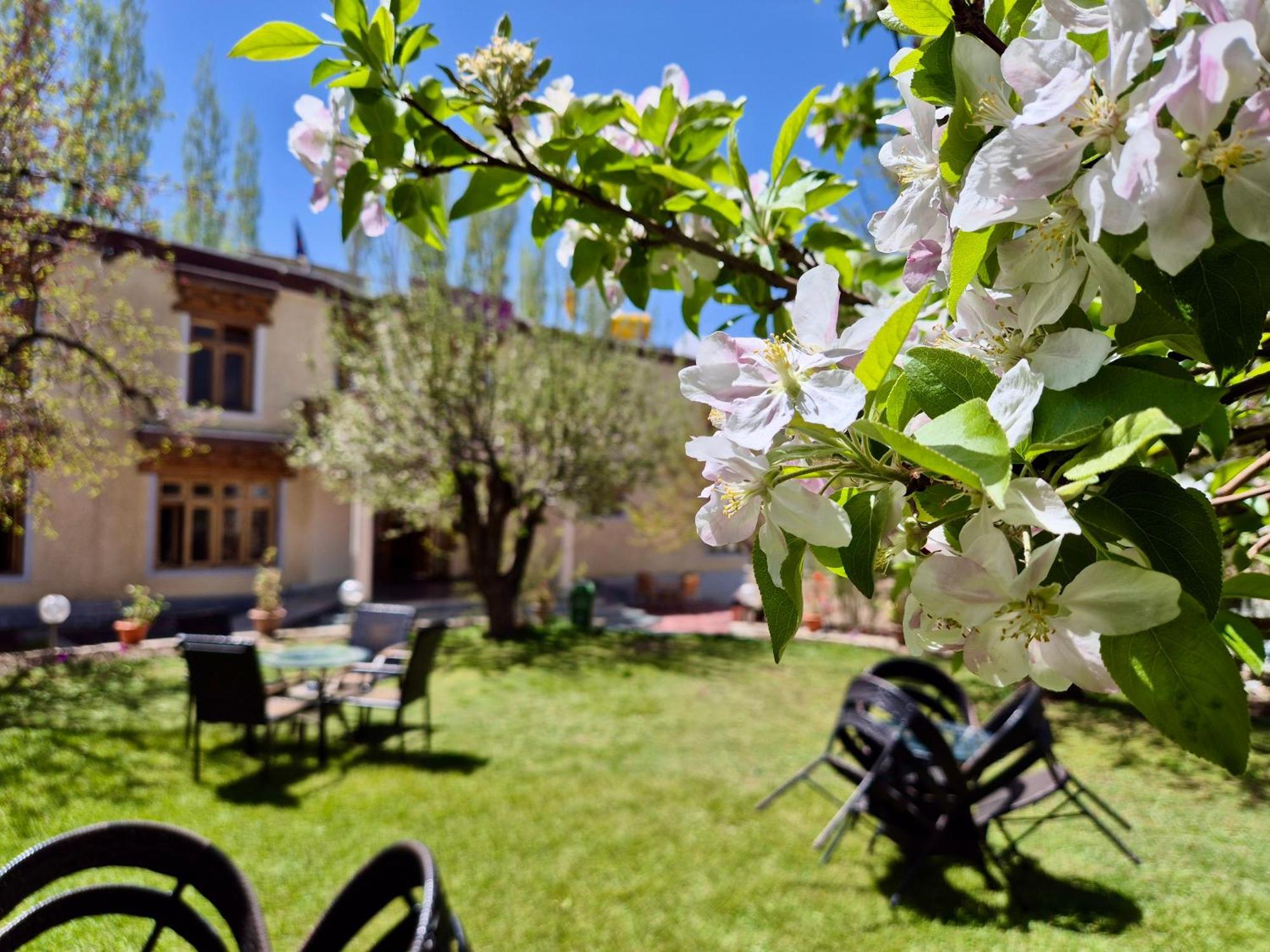 Hotel Palam Hills Лех Екстер'єр фото